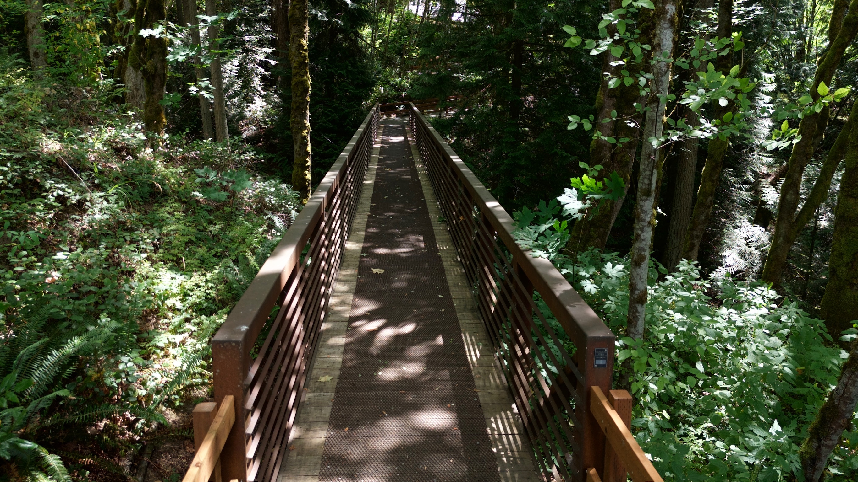 Concrete pedestrian bridge construction